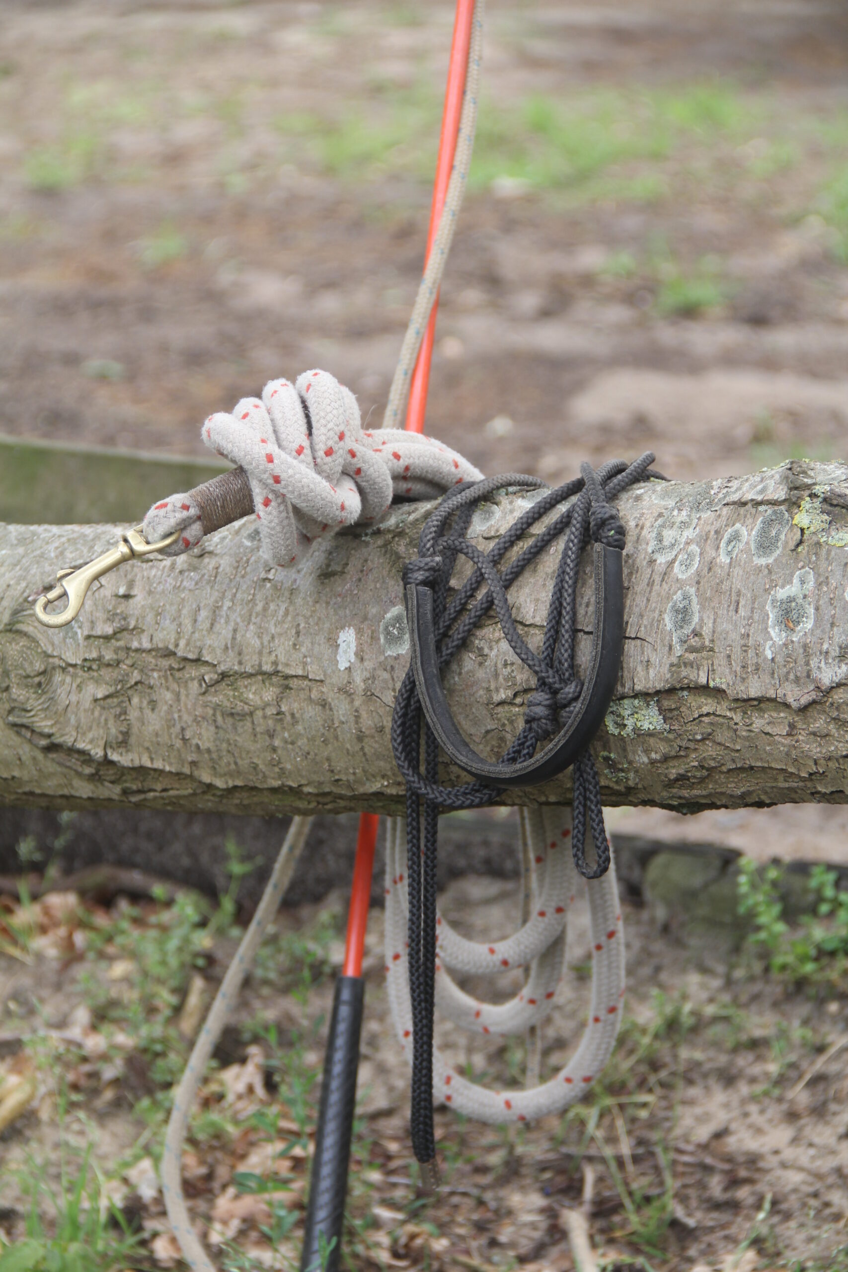 De stick, trainingshalster en lange lijn (6,5m.)