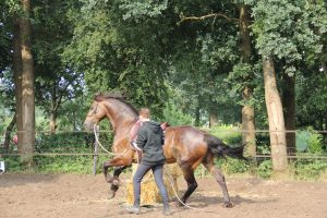werken aan de hand