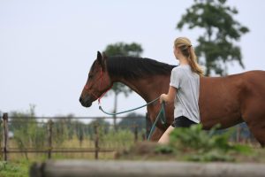samenwerking Jeugdweek