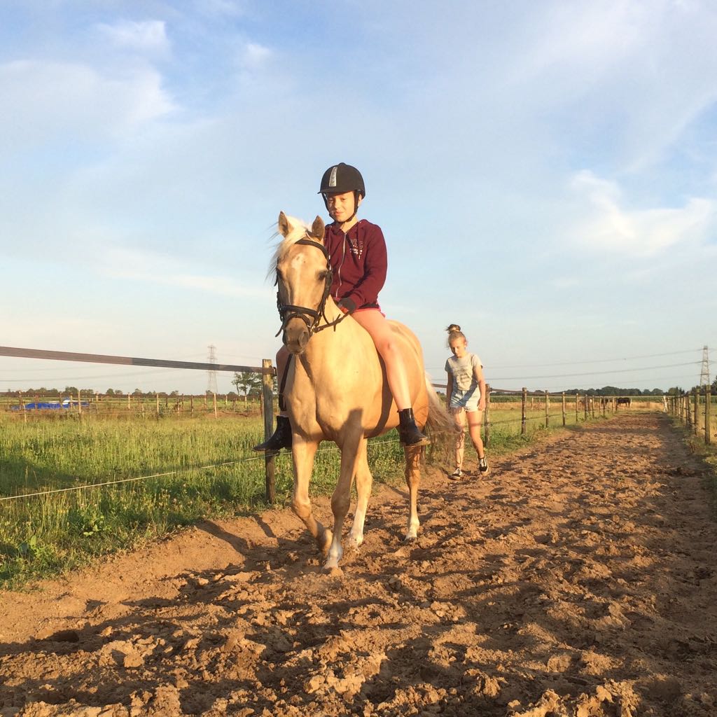 Op de Track (3)