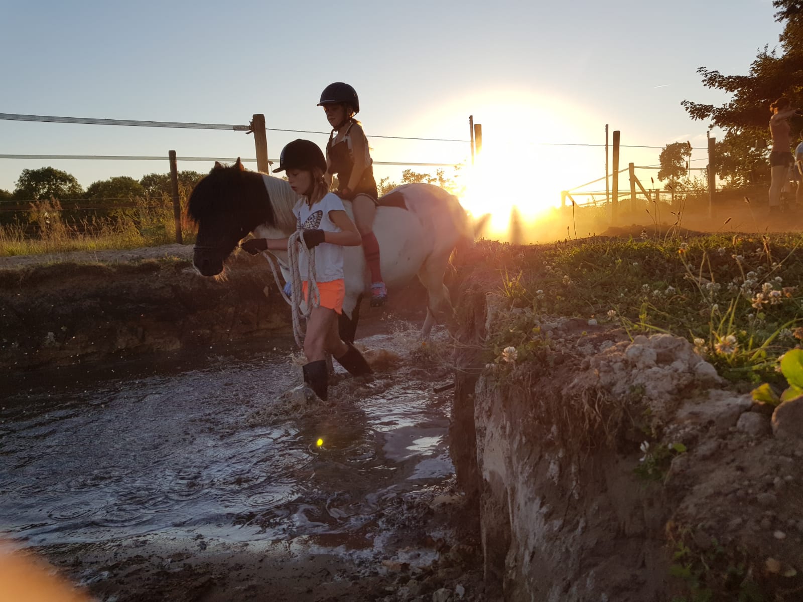 Waterpret met paard (19)