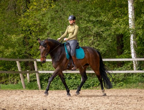 Fouten in de training