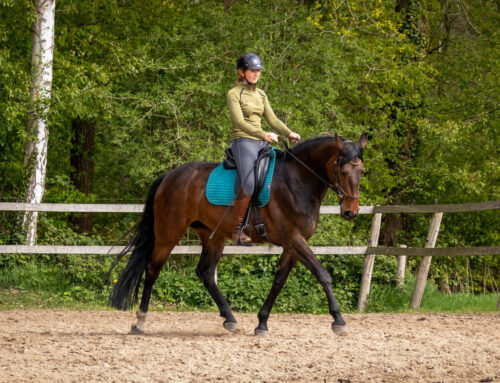 Fouten in de training