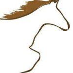Paard Centraal - Paardenschool